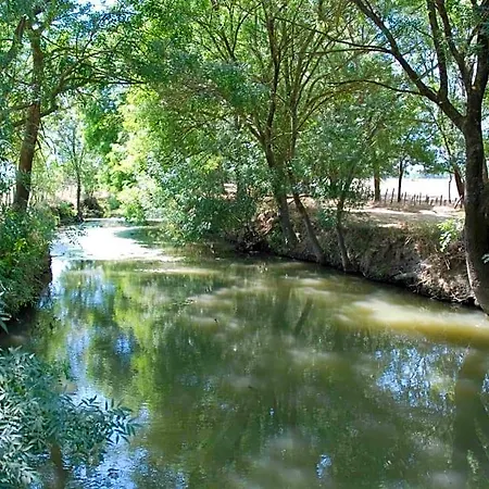 Le Mazet De Jean 3* Le Cailar