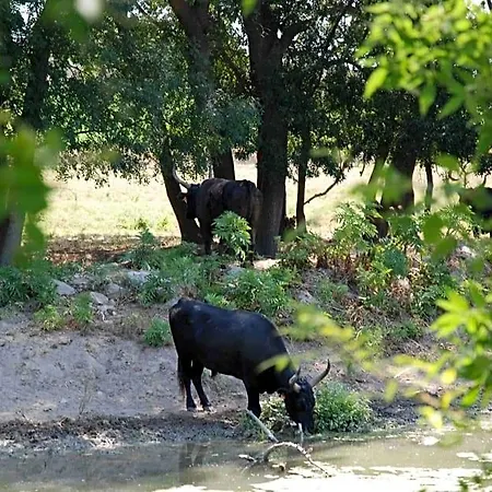 Отель типа 