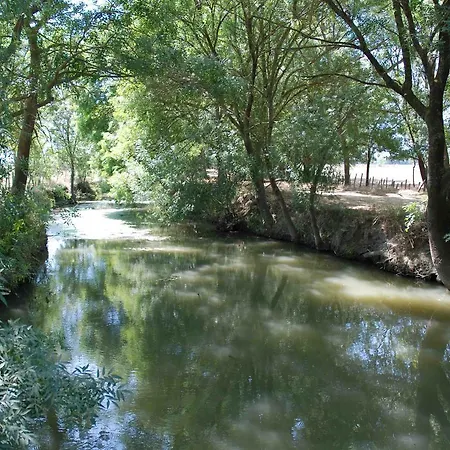 Oda ve Kahvaltı Le Mazet De Jean Le Cailar