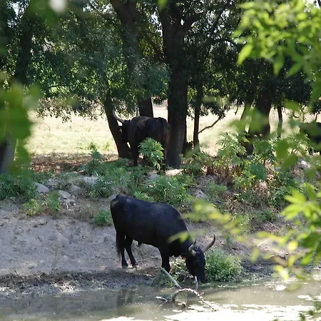 Oda ve Kahvaltı Le Mazet De Jean 3*