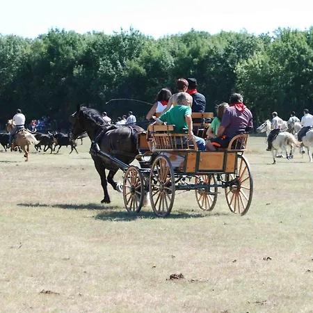 Le Mazet De Jean Le Cailar