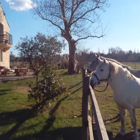 Le Mazet De Jean Oda ve Kahvaltı