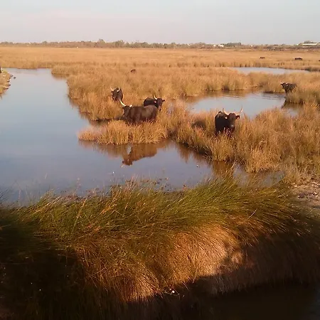 Le Mazet De Jean Le Cailar